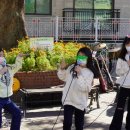 인창초등학교 이미지