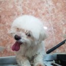 몽몽이 미용실 이미지