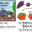 [예쁜 말 바른 말] '돌멩이'와 '알맹이' 이미지