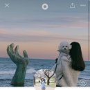 [필독] 7월 전체 공구계획 :: 다음주(실큰 제모기+허벌리스테6개월만의 앵콜)