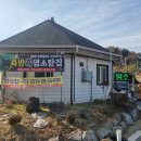 경남식품김현화흑마늘장아찌 | [홍천 근본 맛집] 🐐연말 몸보신 끝판왕! '북방흑염소탕집'에서 맛본 100% 국내산 흑염소의 깊은 기운! 💪