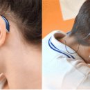 와우보청기 이미지