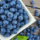 상촌농장 이미지