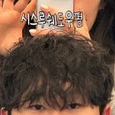꾸미다몰