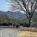 나무이야기민박 | 강원도 독채펜션 숲스테이 꿈숲-단풍나무이야기