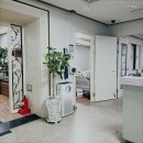 수메디케어 이미지