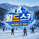 엘리시안강촌 스키강습 비용 할인 받은 후기