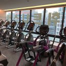 월드짐 휘트니스 이미지