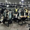 최재원피트니스 이미지