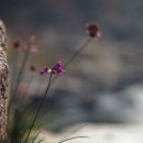 산과들과바람 이미지