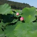 기적소리 이미지