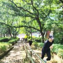 고성군 9 이미지
