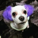 봉자농장 이미지