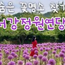 숨은꽃 이미지