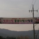 고성리안