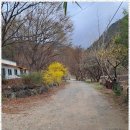 화악산장 이미지