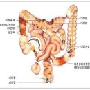 당신의 혈관이 깨끗해야 하는 이유 | 깨끗한 혈관과 건강한 장이 만들어내는 진정한 웰빙: 혈관과 장 건강의 비밀 오혜숙생활단식 대사증후군...