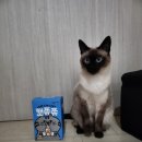 쮸쮸식품 이미지