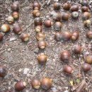 영월고등학교 이미지