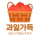 해남 애플망고 농장