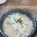 죽동돼지국밥 | 밀양 돼지국밥 밀양 맛집 죽동 돼지국밥 밀양 현지인맛집 추천