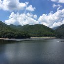 상동 태양광발전소 이미지