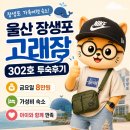 302 | 울산 장생포 숙소 고래잠 302호 후기, 금요일 8만원 가성비 최고