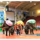 점보빌리지 이미지