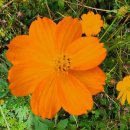 김정운농장 이미지