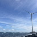 연정에너지 | [25-10 제주2]날씨요정은 누구인가 가을제주(섭지코지,비자림,피즈애월,연정식당)