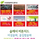 포캣 이미지