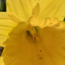 호림농장 이미지