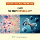 채움테라피 네이버블로그