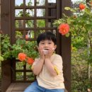 베말공원 이미지