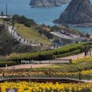 대나무공원 화장실 이미지