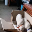 멍돌이와 멍순이 이미지