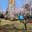 마골공원 이미지