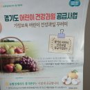 배감 | 2025년 경기도 어린이 건강과일 공급사업 택배 후기, 구성(배, 감, 방토,샤인)