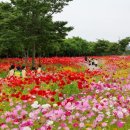 백조호수공원 이미지