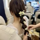 우주카서비스 | 향단이헬퍼이모 시그니처춘향 빅사이즈드레스대여 무료드레스대여 꽃가마웨딩카 상품및할인내역 총정리