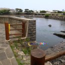 유수암리 산새미오름방묘 이미지