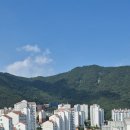 한라컨설팅공인중개사사무소 이미지