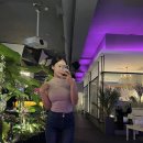 타이어캐슬 | 뒤죽박죽 달옹이여름