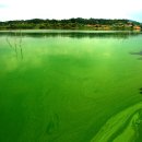 금강페인트 이미지