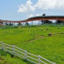 대신목장 이미지