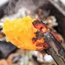 꿀밤농장 이미지