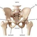 핑크팬더즈 수원세류점 이미지