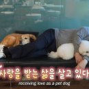 김건희농장 이미지