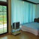 장미 민박 이미지