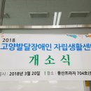 디딤돌장애인자립생활센터 이미지